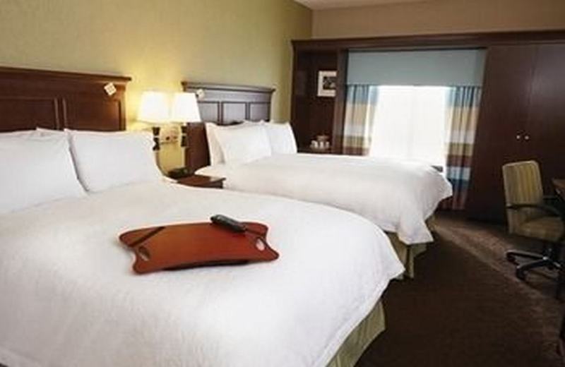 Hampton Inn And Suites Jacksonville/Orange Park, Fl Dış mekan fotoğraf